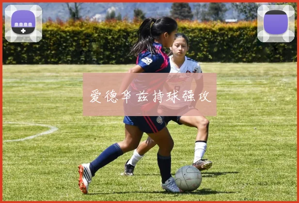 爱德华兹持球强攻