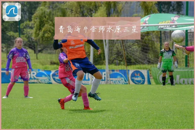 青岛海牛会师水原三星