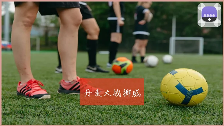 丹麦大战挪威
