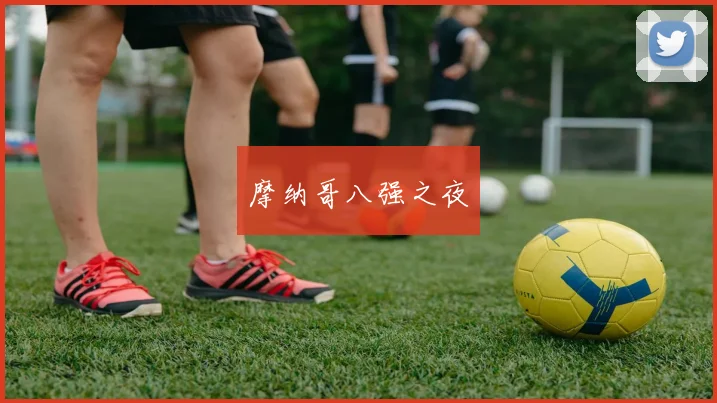摩纳哥八强之夜