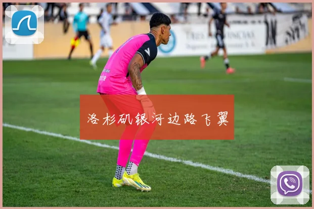 洛杉矶银河边路飞翼