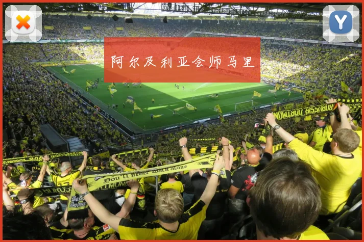阿尔及利亚会师马里