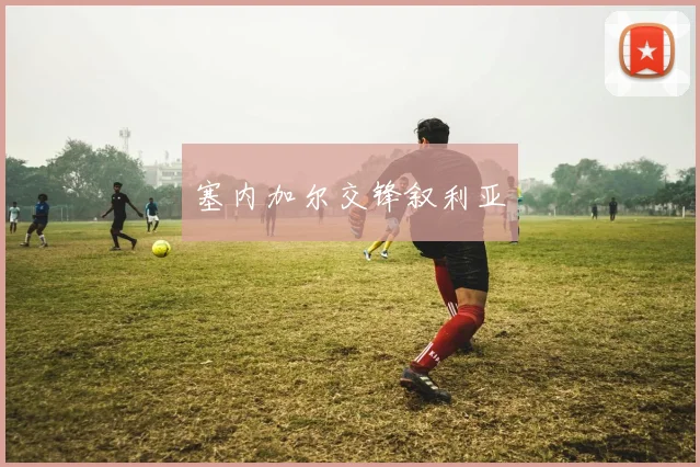 塞内加尔交锋叙利亚