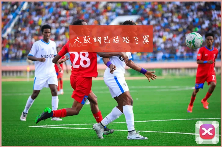 大阪钢巴边路飞翼