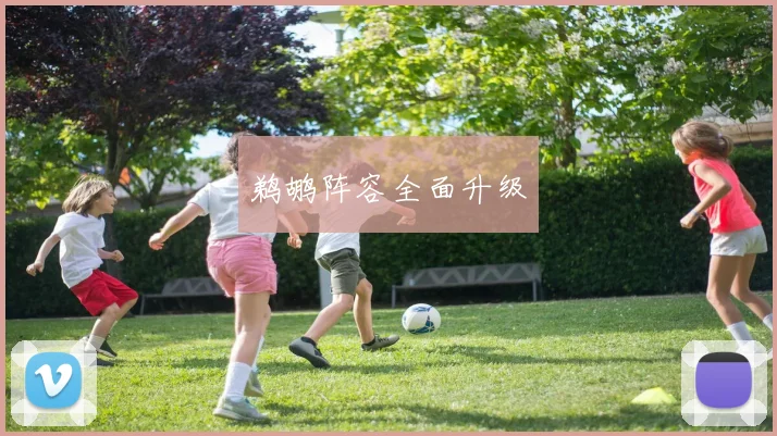 鹈鹕阵容全面升级