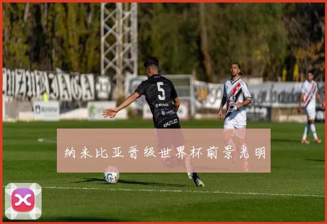 纳米比亚晋级世界杯前景光明