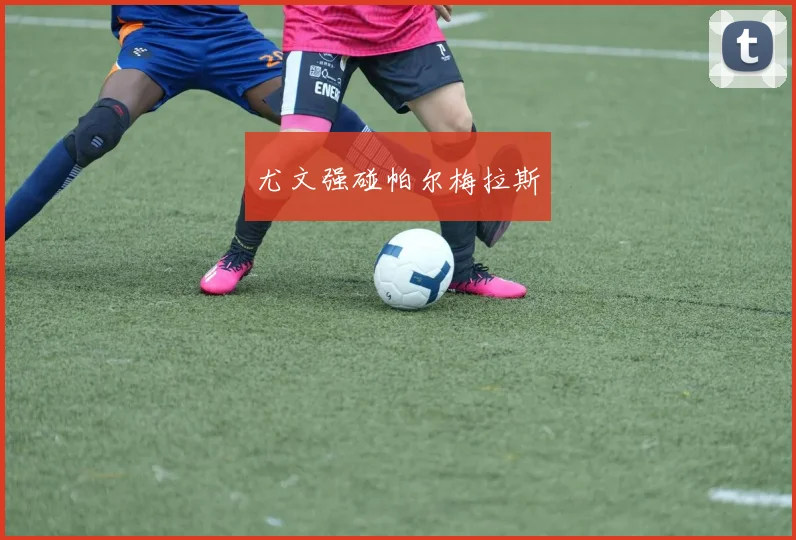 尤文强碰帕尔梅拉斯
