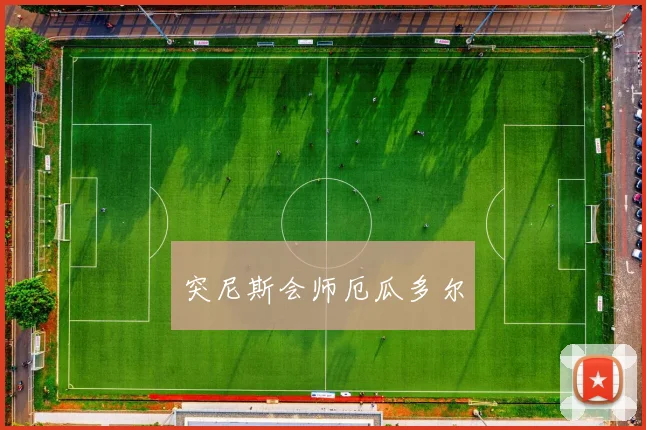 突尼斯会师厄瓜多尔