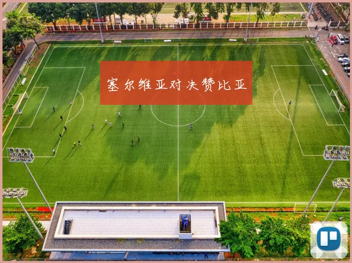 塞尔维亚对决赞比亚