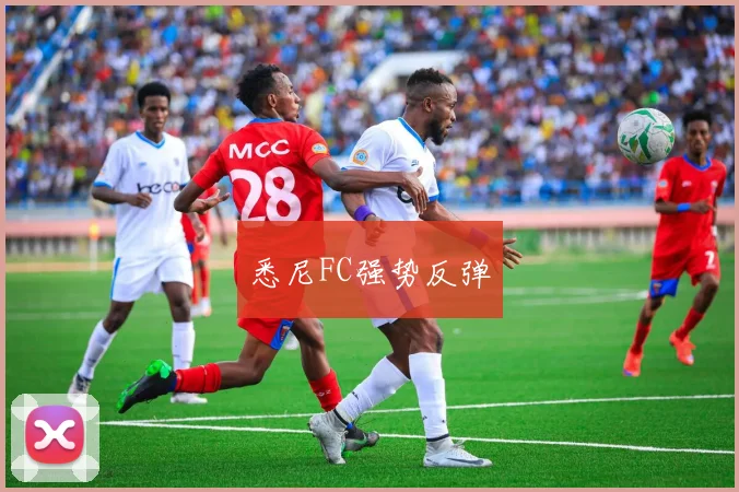 悉尼FC强势反弹