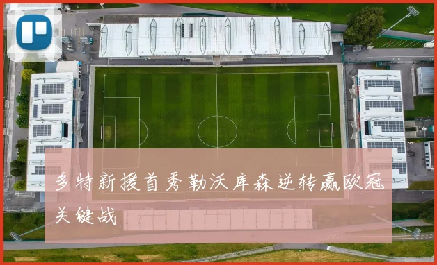 多特新援首秀勒沃库森逆转赢欧冠关键战