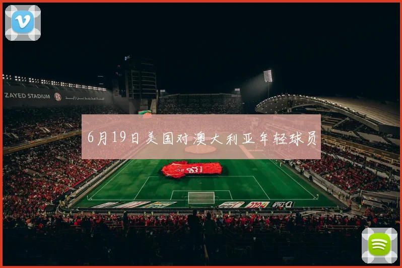 6月19日美国对澳大利亚年轻球员