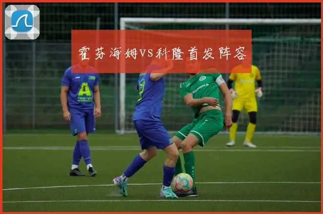 霍芬海姆vs科隆首发阵容