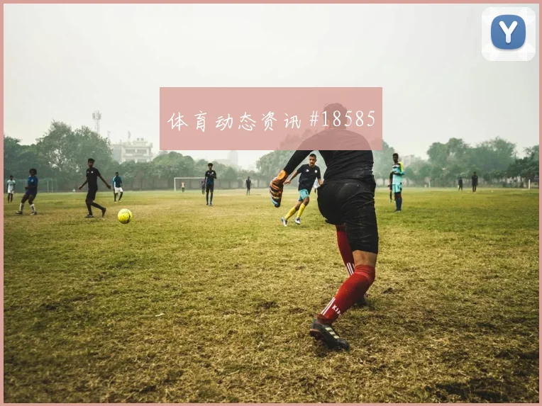 加拿大队面对波黑中卫组合能否顶住高球小组赛战术前瞻